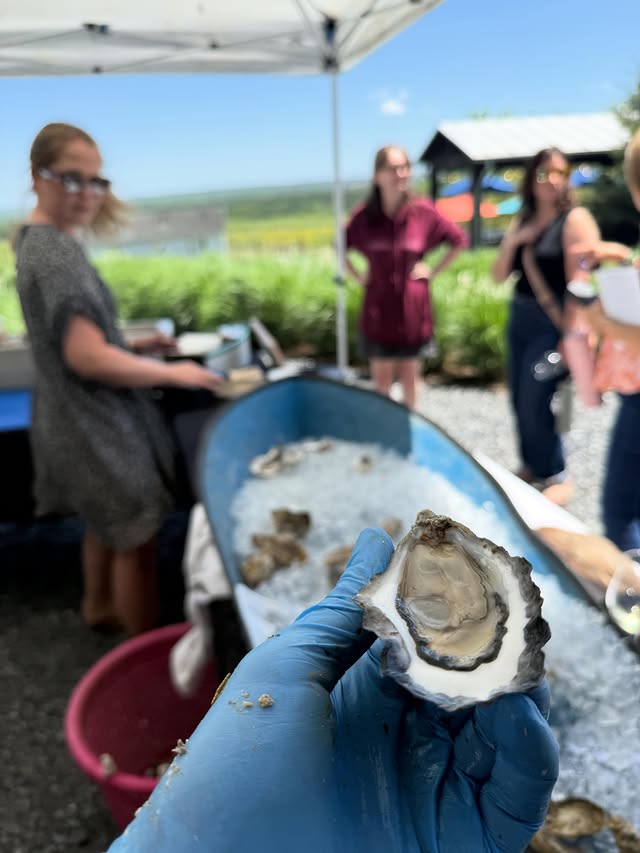 A just-shucked Revival oyster on the half shell, held up in a blue glove at a pop-up raw bar